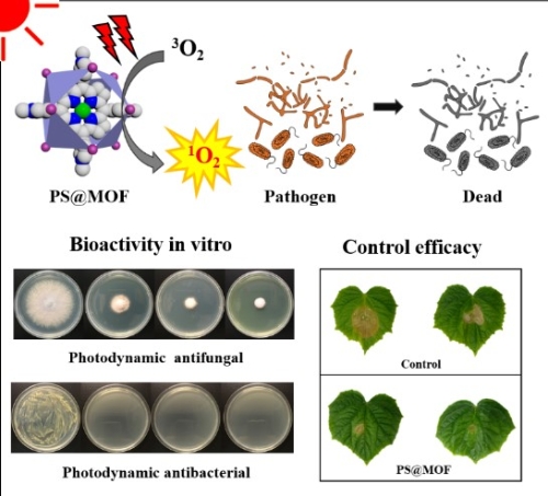 優博青年卟啉金屬有機骨架mofs納米複合材料的製備及其光動力抗菌活性